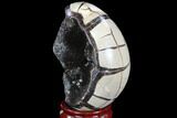 Septarian Dragon Egg Geode - Black Crystals #88329-2